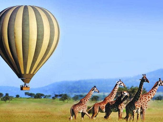 Ballonsafari serengeti